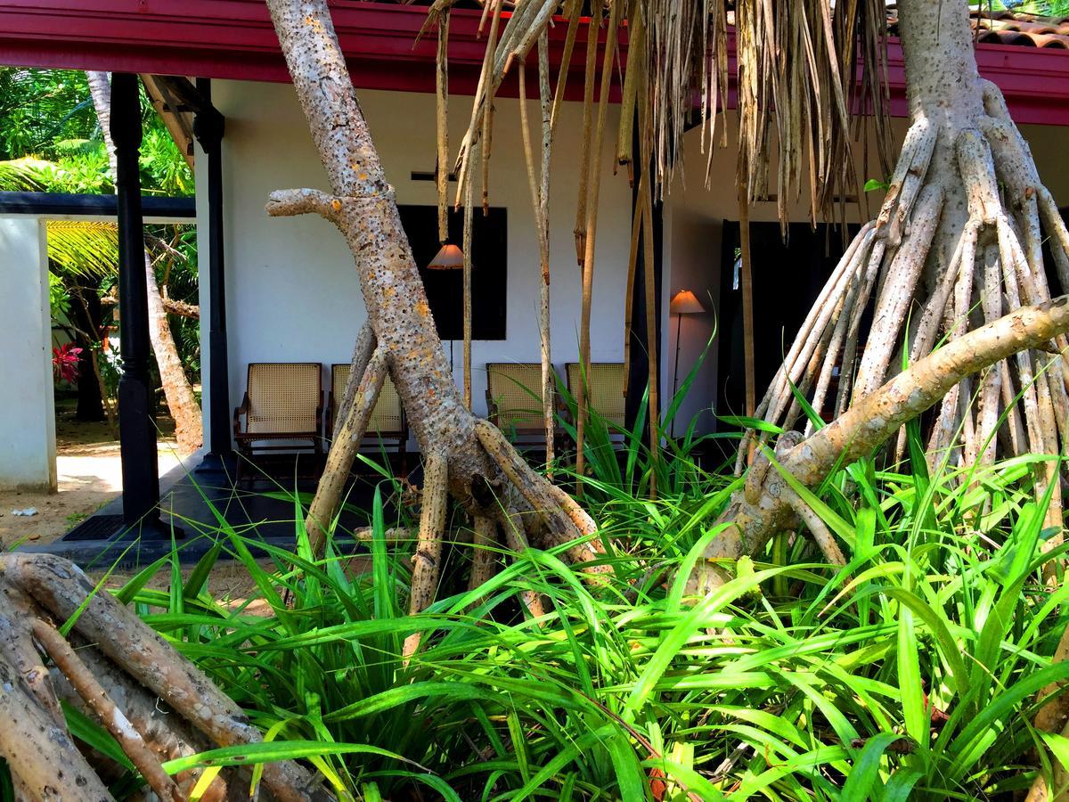 Shehani Beach Bungalow Tangalle Exterior foto
